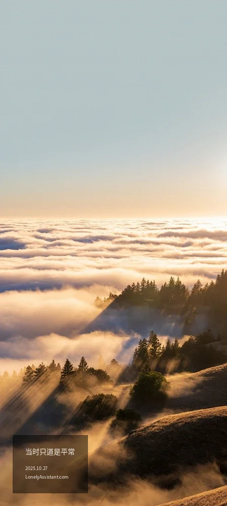 /media/images-phone/2025/10/27/2025-10-27 00.54.28.webp